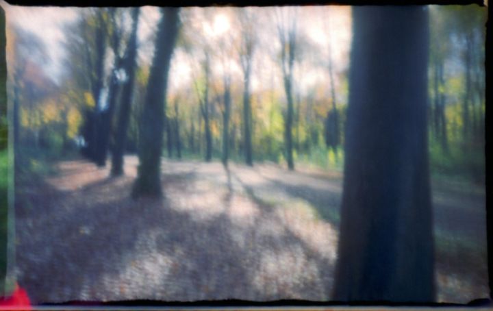 Fotografie mit dem Titel "Castle Park Brühl" von Allmuth Lenz, Original-Kunstwerk, Filmfotografie