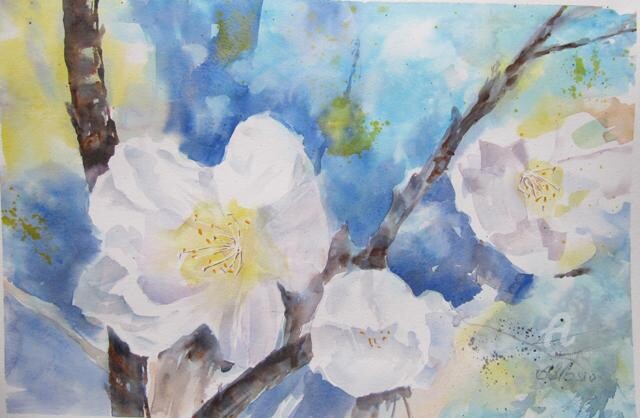 Peinture intitulée "Fleurs de cerisier" par Claudette Allosio, Œuvre d'art originale, Aquarelle