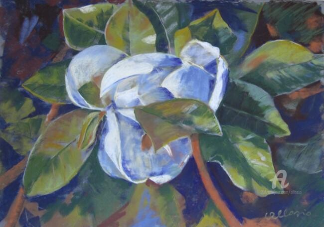 Schilderij getiteld "Magnolia" door Claudette Allosio, Origineel Kunstwerk, Olie