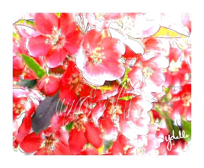 Цифровое искусство под названием "Red Flower" - Ydelle And All That Jaz2, Подлинное произведение искусства