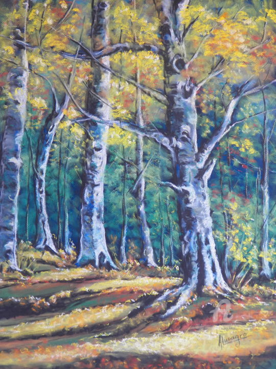 Pintura intitulada "bosque.jpg" por Almagro, Obras de arte originais, Pastel