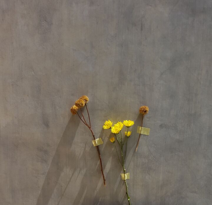 Fotografía titulada "yellow grains" por Alpen Liebe, Obra de arte original, Fotografía analógica