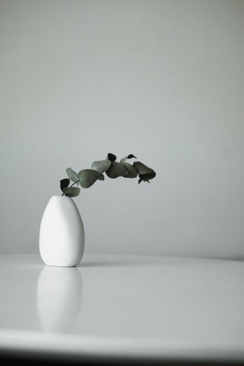 Photographie intitulée "minimal plant on co…" par Alpen Liebe, Œuvre d'art originale, Photographie argentique