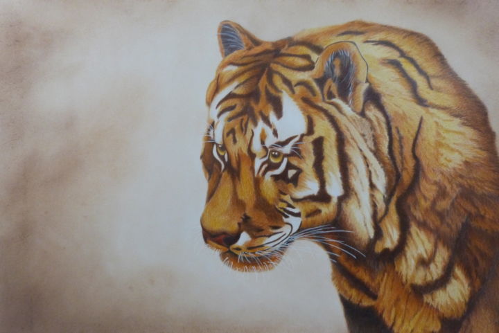 Dessin intitulée "Le tigre" par Daniel Alvarez, Œuvre d'art originale, Crayon