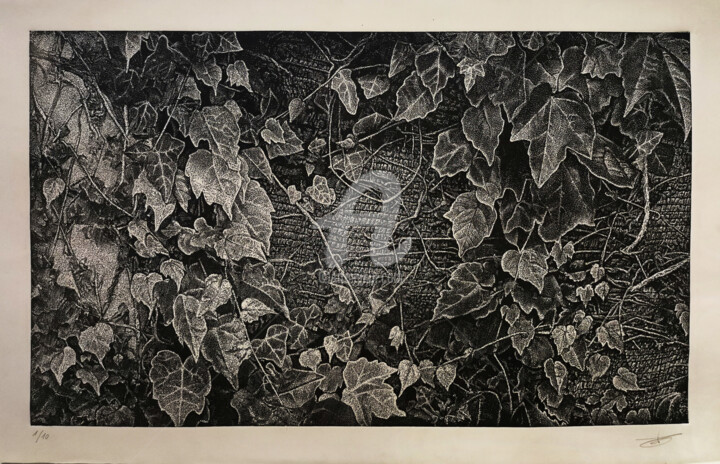 Prenten & gravures getiteld "“En red”" door Alvaro García Lema, Origineel Kunstwerk, Xylograaf