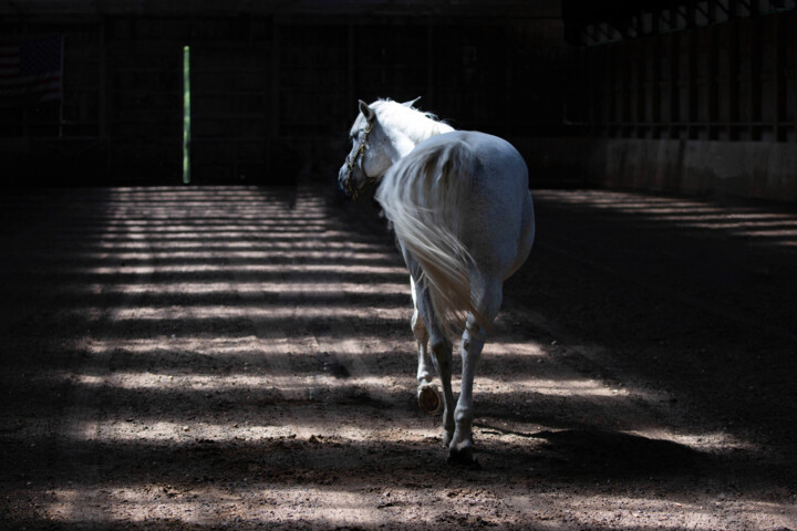 Fotografia zatytułowany „Towards the Light” autorstwa Alyson Betz, Oryginalna praca, Fotografia cyfrowa