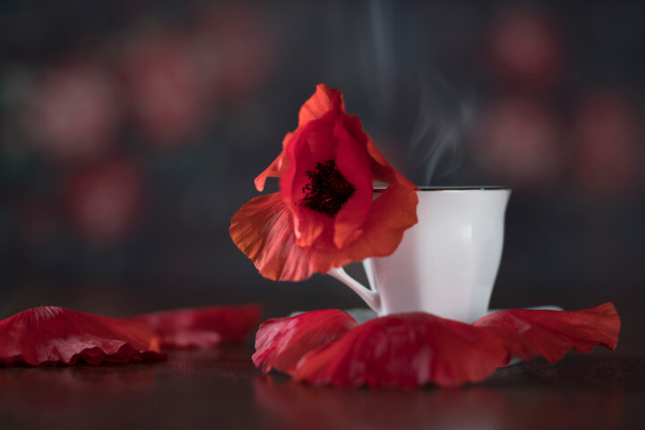 Photographie intitulée "Cup of poppy" par Amandine Desjardins, Œuvre d'art originale, Photographie numérique