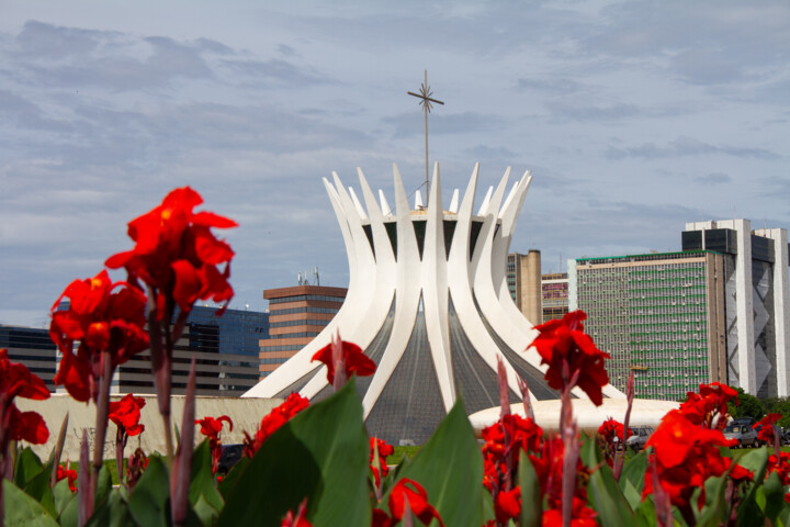 Fotografie getiteld "A catedral florida" door Amaury Santos, Origineel Kunstwerk, Digitale fotografie