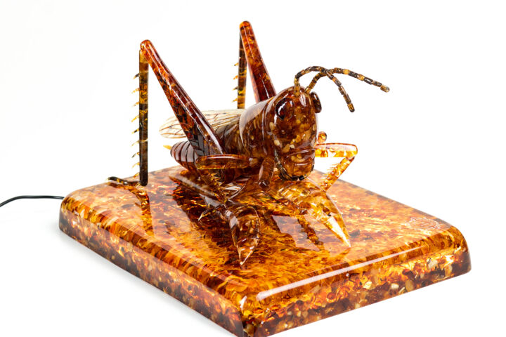 Sculptuur getiteld "Grasshopper" door Vadim Bakulin, Origineel Kunstwerk, Steen