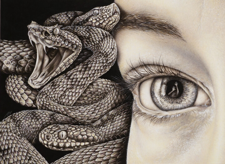 Drawing titled "Medusa" by Ambra Montemezzo, Original Artwork, Graphite Mounted on Cardboard