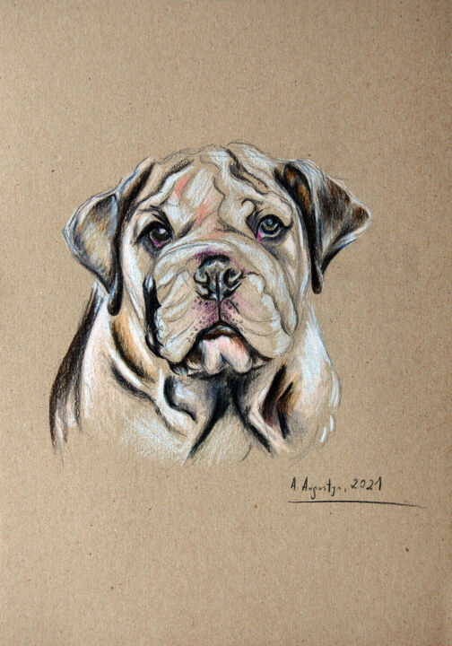Dibujo titulada "Bulldog" por Amelia Urszula Augustyn, Obra de arte original, Lápiz