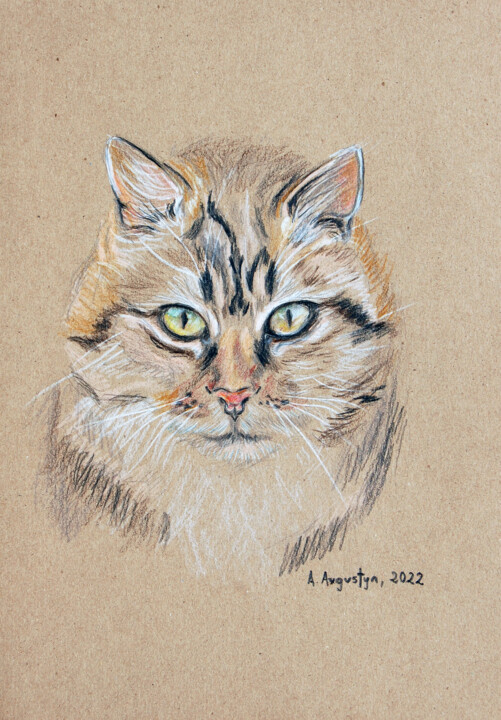 Drawing titled "Portrait of a cat" by Amelia Urszula Augustyn, Original Artwork, Pencil