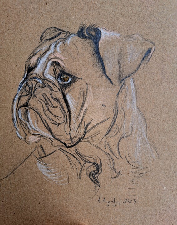 Dessin intitulée "Bulldog II" par Amelia Urszula Augustyn, Œuvre d'art originale, Crayon