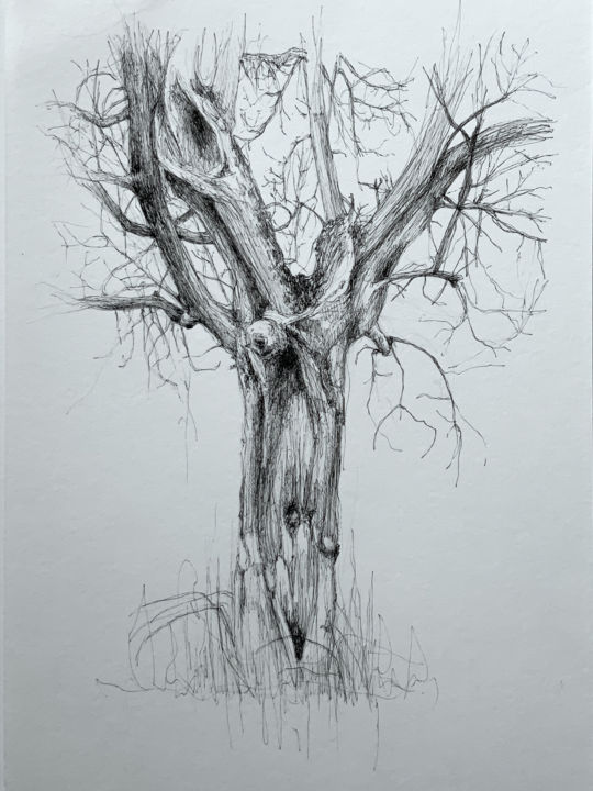 Рисунок под названием "Arborescence # 3" - Amélie Helmstetter, Подлинное произведение искусства, Гелевая ручка