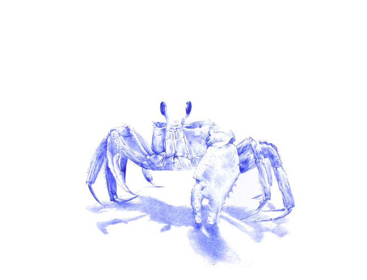 Dibujo titulada "Crabe" por Amélie Helmstetter, Obra de arte original, Bolígrafo