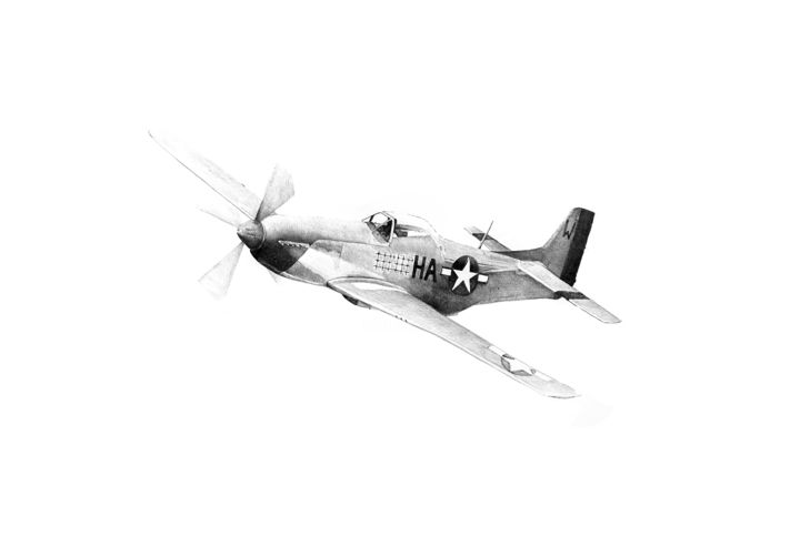 Mustang Dessin Par Amelie Helmstetter Artmajeur