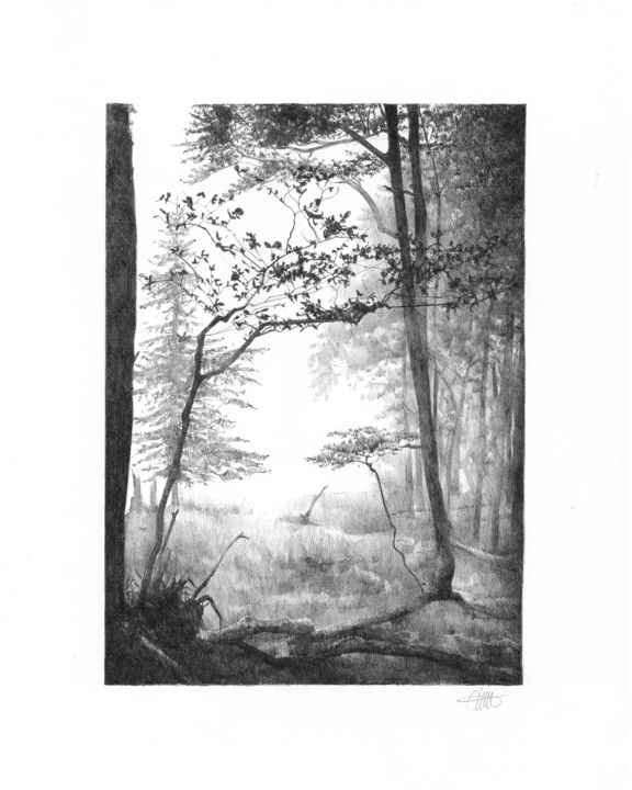 Drawing titled "Misty forest" by Amélie Helmstetter, Original Artwork, Ink