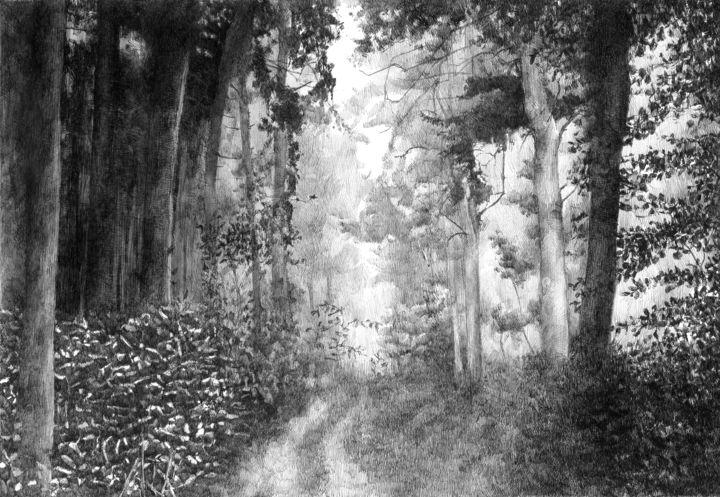 Disegno intitolato "Mystère" da Amélie Helmstetter, Opera d'arte originale, Inchiostro