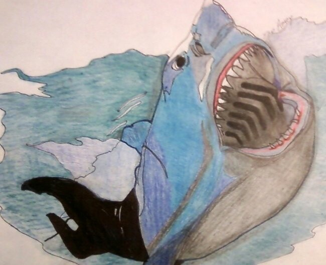 Zeichnungen mit dem Titel "shark" von Amey, Original-Kunstwerk