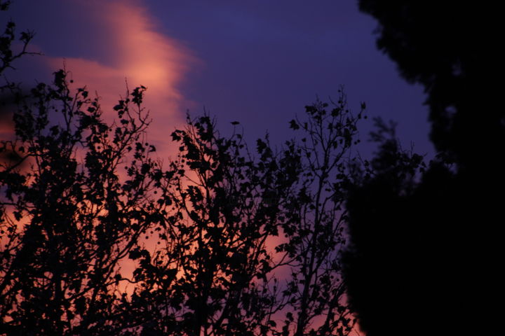 Fotografia zatytułowany „Sunset” autorstwa Ana Abashidze, Oryginalna praca, Fotografia cyfrowa