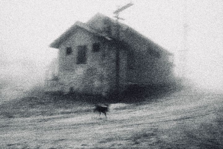 Fotografia intitulada "Fog" por Anadi, Obras de arte originais, Fotografia digital