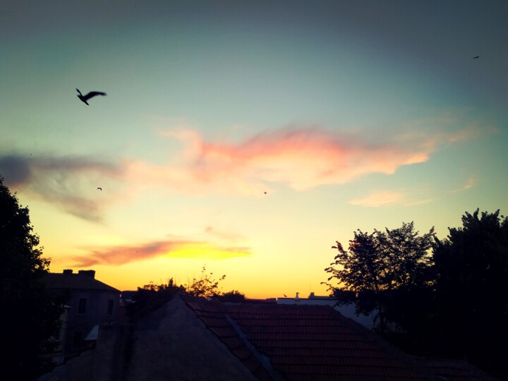 제목이 "Home sunset"인 사진 Ana Maria Guta로, 원작, 조작된 사진