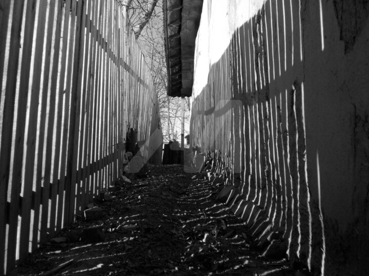 Photography titled "Hidden path" by Ana Mishka, Original Art,