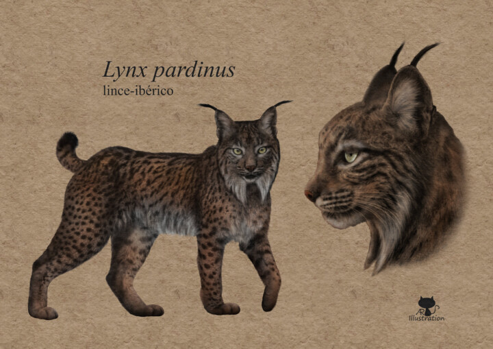 Digital Arts titled "Lynx pardinus" by Ana Ribeiro (Ana Ribeiro Illustration), Original Artwork, Digital Painting