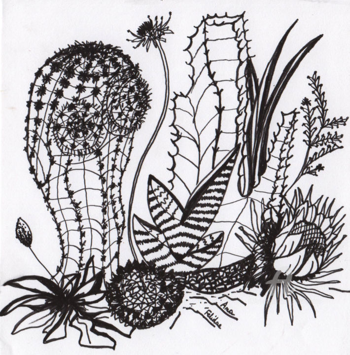 Dibujo titulada "Jardin de cactus" por Ana Felidae, Obra de arte original, Rotulador