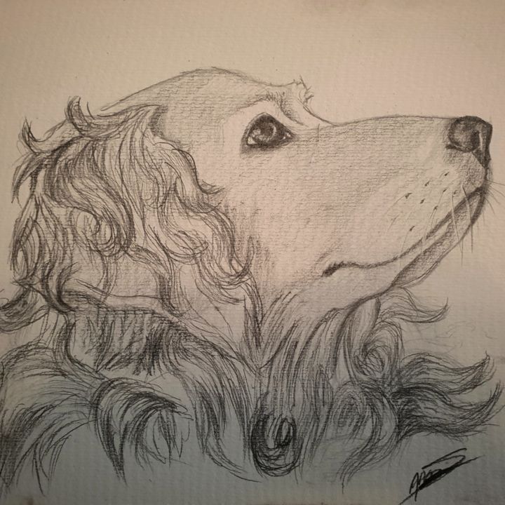 Drawing titled "Esta" by Anaïs Lr, Original Art, Pencil