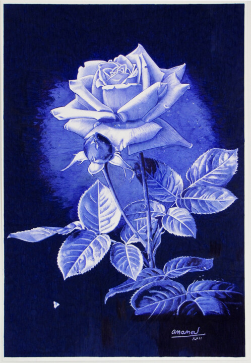 Drawing titled "Rose" by Ananou, Original Artwork, Ballpoint pen