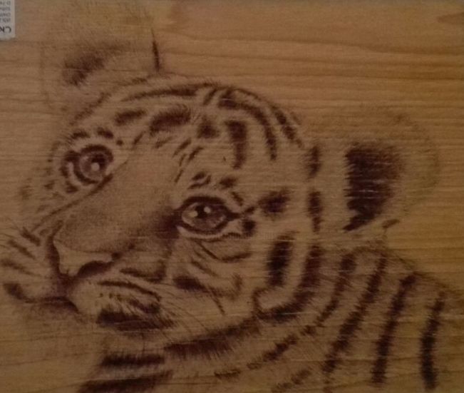 Drawing titled "dibujo-tigre-sobre-…" by Ana Mosquera Ucha, Original Artwork, Ballpoint pen
