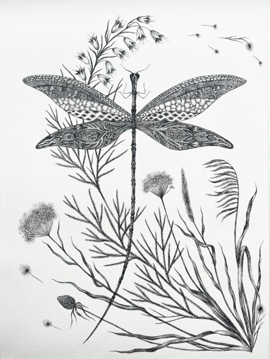 Tekening getiteld "The Dragonfly" door Anastasia Cherezova, Origineel Kunstwerk, Inkt