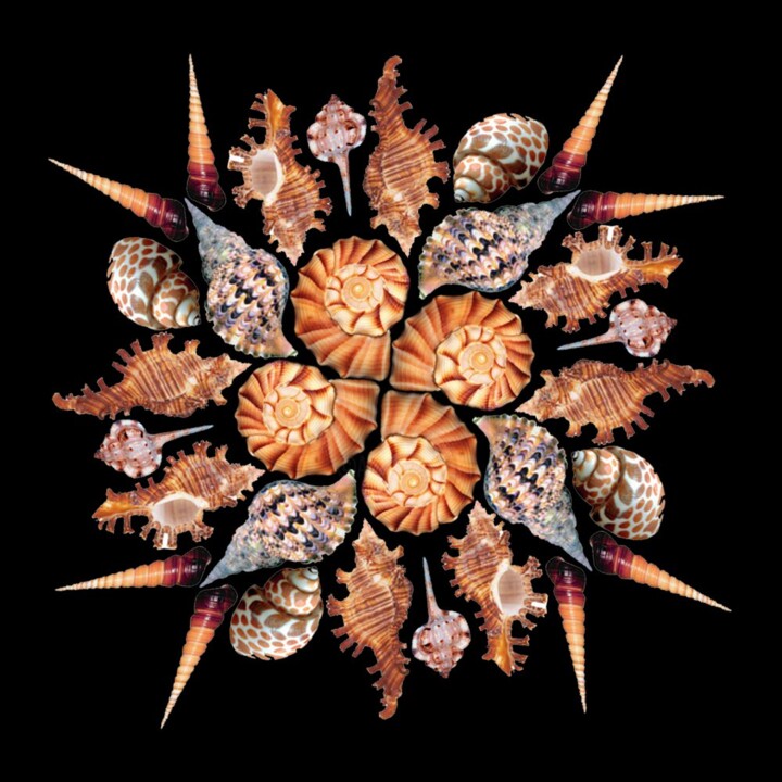 Цифровое искусство под названием "Shell mandala" - Anastasia Gogol, Подлинное произведение искусства, Фотомонтаж