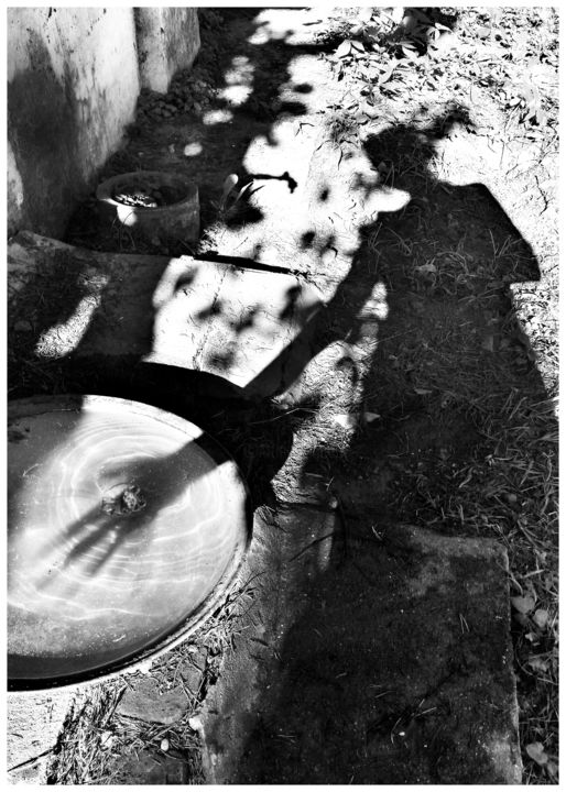 Фотография под названием "shadow.jpg" - Anastasia Potekhina, Подлинное произведение искусства,