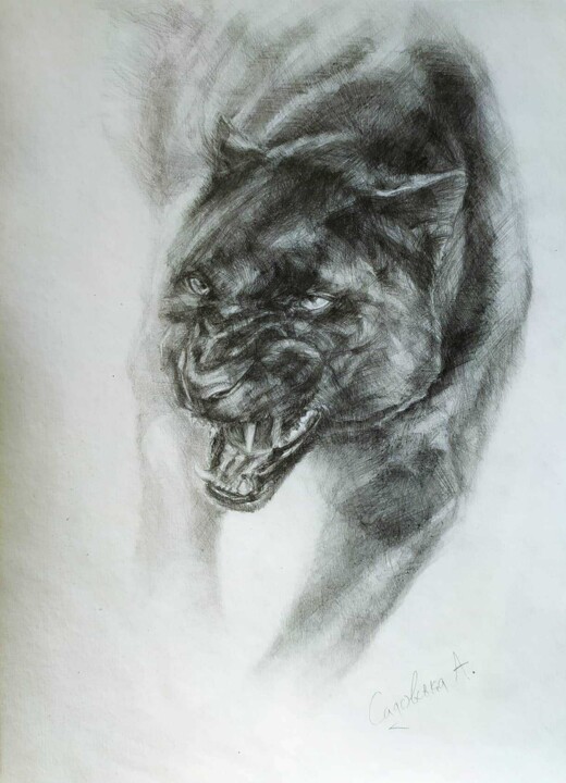 Dessin intitulée "Пантера" par Anastasiia Sadovskaia, Œuvre d'art originale, Crayon