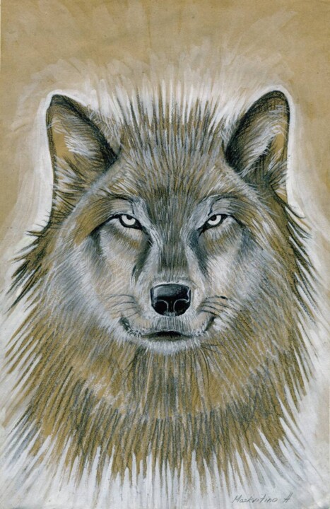 Desenho intitulada "Wolf" por Anastasiia Moskvitina, Obras de arte originais, Carvão