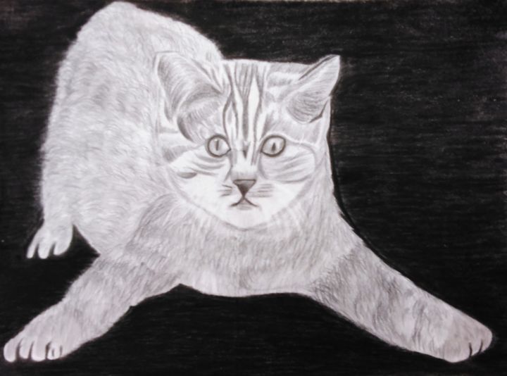 Tekening getiteld "The cat" door Andhika Prakasa, Origineel Kunstwerk, Potlood