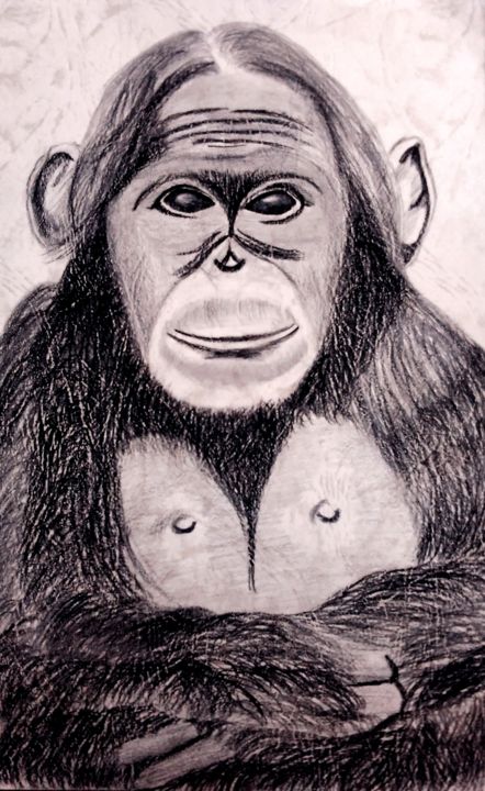 Dessin intitulée "Orangutan from Indo…" par Andhika Prakasa, Œuvre d'art originale, Crayon