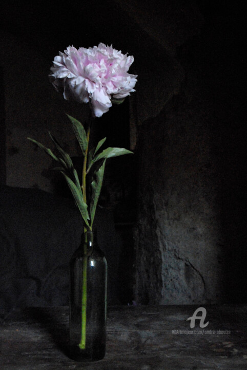 Fotografie mit dem Titel "Bouquet n° 8" von André Boulze, Original-Kunstwerk