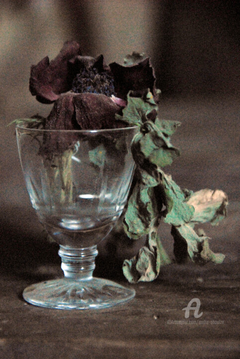 Photographie intitulée "Nature morte fleur…" par André Boulze, Œuvre d'art originale, Photographie numérique