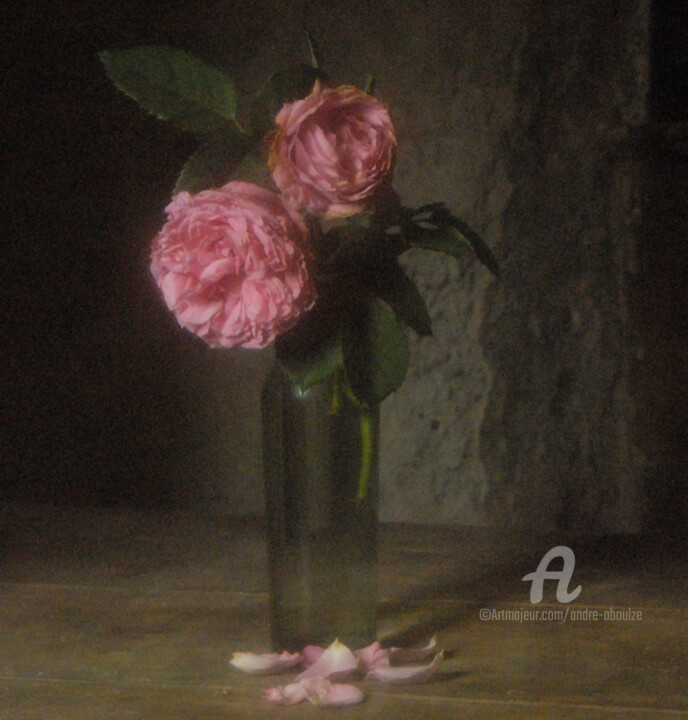 Fotografie getiteld "Bouquet n° 15" door André Boulze, Origineel Kunstwerk