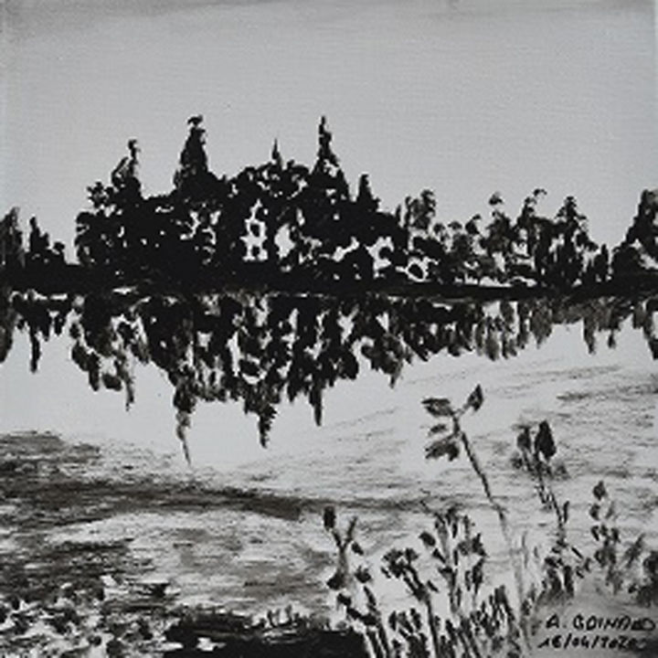 Peinture intitulée "lac de Passeligne NB" par André Goinaud, Œuvre d'art originale, Huile Monté sur Châssis en bois