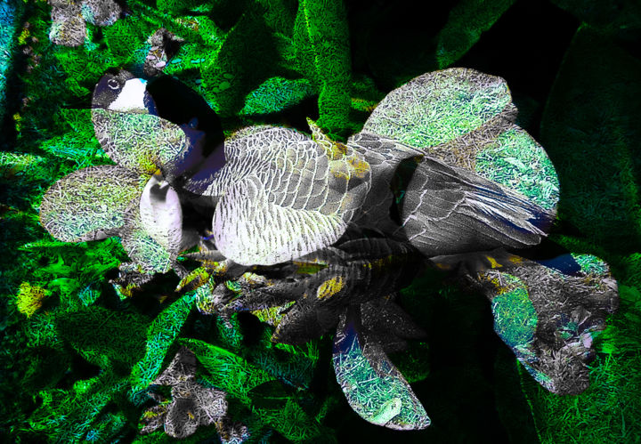 Цифровое искусство под названием ""Nature's Details 2" - Andre Mckee, Подлинное произведение искусства, Цифровая живопись