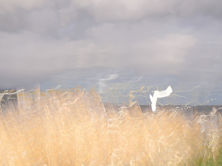 Photography titled "Marsh Song III" by André Pillay, Original Artwork, Manipulated Photography