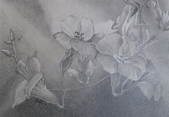 Dessin intitulée "fleurs" par Andre Rollet, Œuvre d'art originale, Crayon