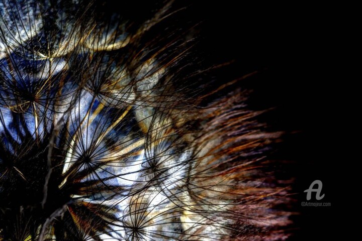 Φωτογραφία με τίτλο "Unfolding" από Andrea Janda, Αυθεντικά έργα τέχνης, Ψηφιακή φωτογραφία Τοποθετήθηκε στο Ξύλινο φορείο σ…
