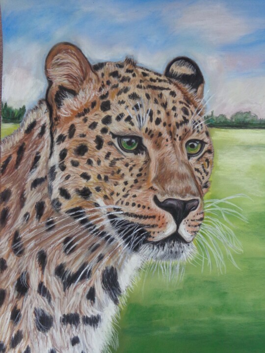 Painting titled "Leopard" by Andrea Napolitano, Original Artwork, Pastel