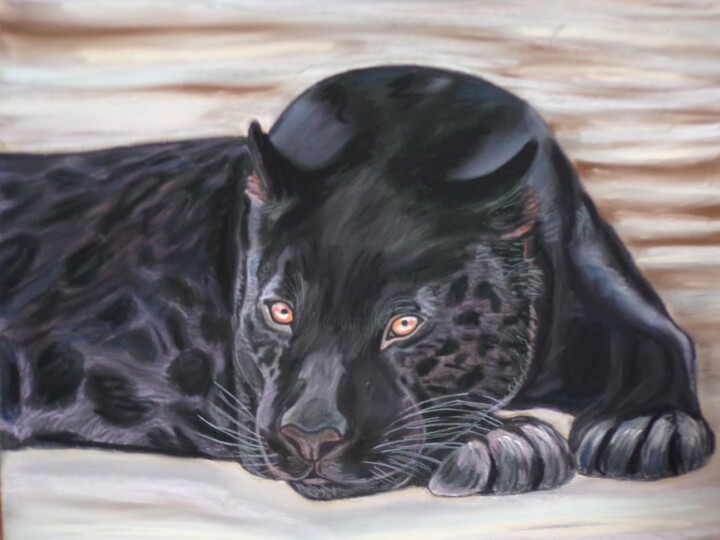Malarstwo zatytułowany „Black leopard” autorstwa Andrea Napolitano, Oryginalna praca, Pastel