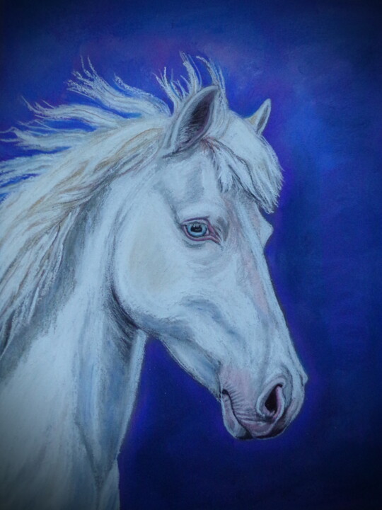 Pintura intitulada "Majestic horse" por Andrea Napolitano, Obras de arte originais, Pastel